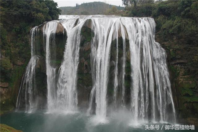 令人傾倒的“瀑布式”植物墻