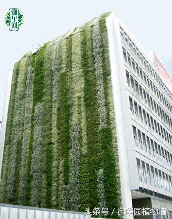 令人傾倒的“瀑布式”植物墻