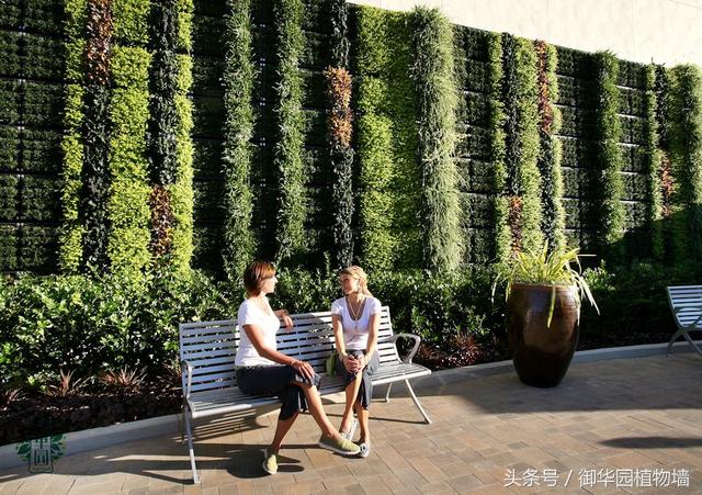 令人傾倒的“瀑布式”植物墻