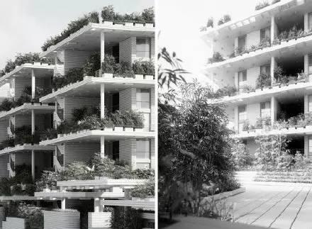 垂直花園設計為生活帶來滿滿綠意