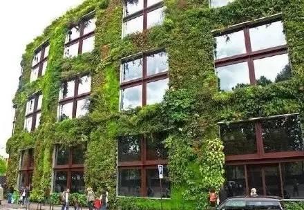 垂直花園設計為生活帶來滿滿綠意