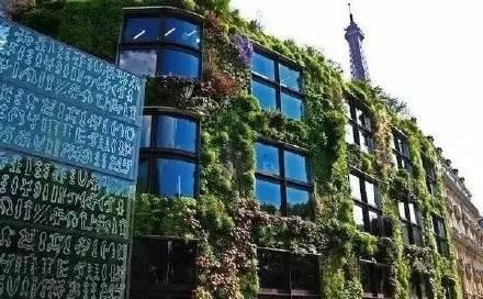 垂直花園設計為生活帶來滿滿綠意