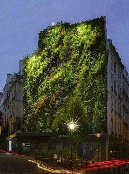 垂直花園設計為生活帶來滿滿綠意