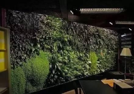 垂直花園設計為生活帶來滿滿綠意