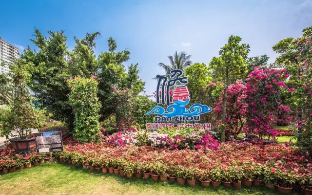 景觀助力一帶一路，笛東獻(xiàn)策盛世華章