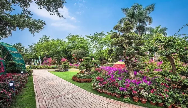 景觀助力一帶一路，笛東獻(xiàn)策盛世華章