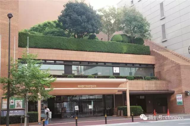 屋頂綠化需要綜合考量多種因素