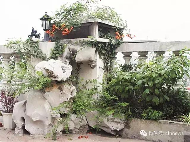 屋頂綠化需要綜合考量多種因素