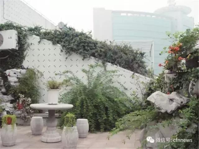 屋頂綠化需要綜合考量多種因素