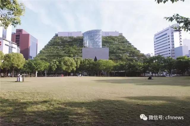 屋頂綠化需要綜合考量多種因素