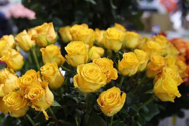 花藝師淺談花藝設計潮流趨勢