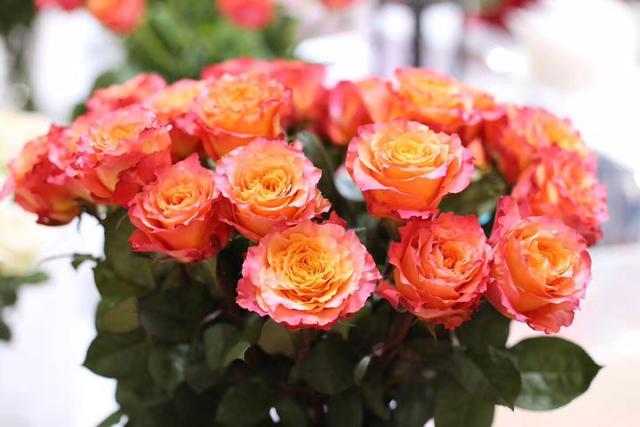 花藝師淺談花藝設計潮流趨勢