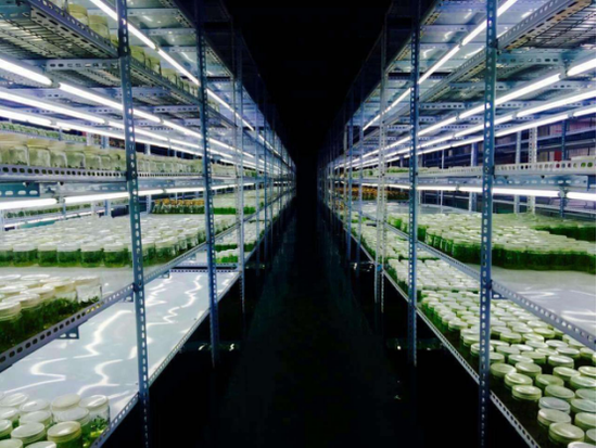 中國青少年將首次參與聯合國生態系統研究