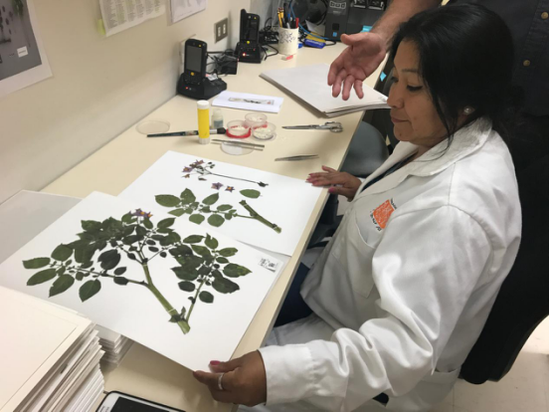 中國青少年將首次參與聯合國生態系統研究