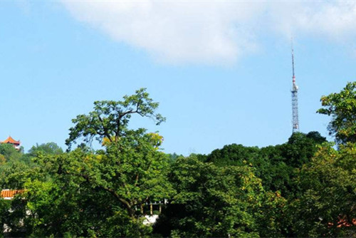 棕櫚園林:湖南吉首市城建項目試水PPP模式