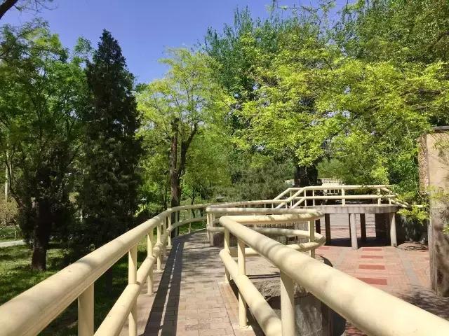 北京藏著一座歐洲園林：人定湖公園