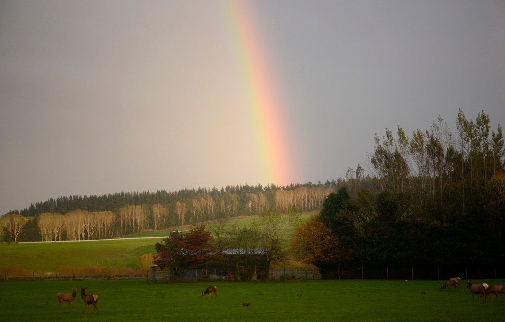 “綠寶石之地”——新西蘭峽灣國家公園