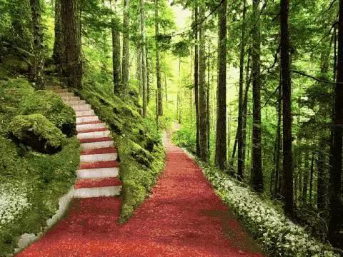 Parkorman:一個充滿未來感與愛的森林公園