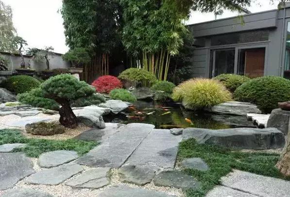 盆景——從園林中走出來的造型藝術