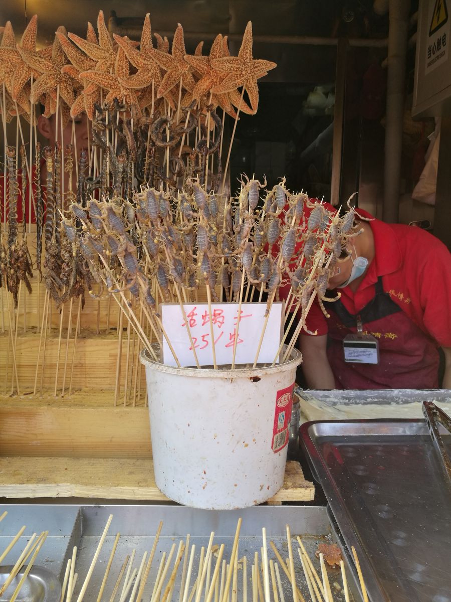 美國景觀專業(yè)學生來華交流學習1