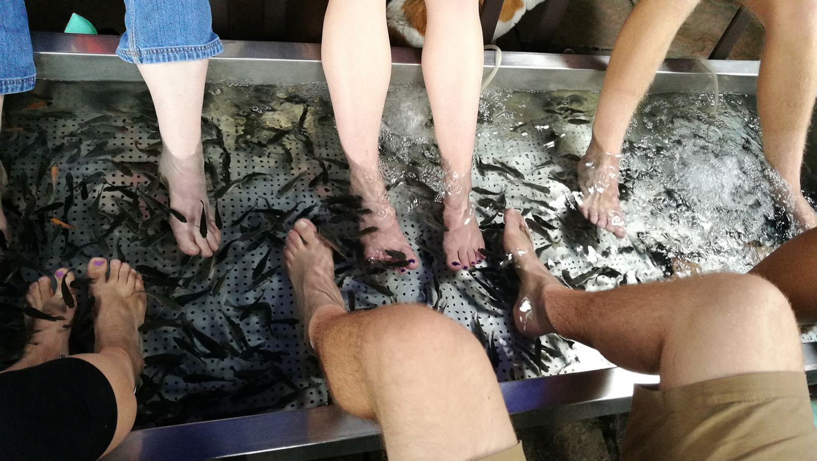 奧克拉荷馬州立大學(xué)景觀專業(yè)學(xué)生來華交流5