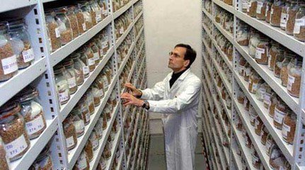 建立公園種子庫 保護生物多樣性