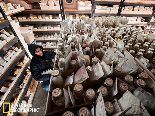 位于挪威的"世界末日種子庫"隧道入口被淹