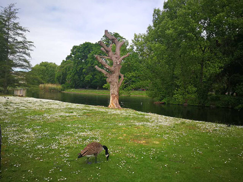 2017英國景觀專業考察交流Day1:倫敦皇家園林