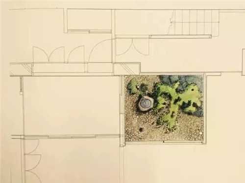 日本園林大師枡野俊明談造園和賞園