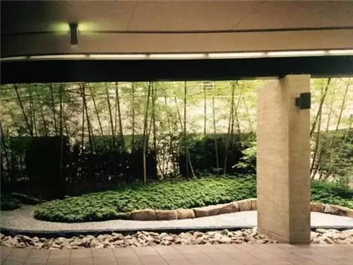 日本園林大師枡野俊明談造園和賞園