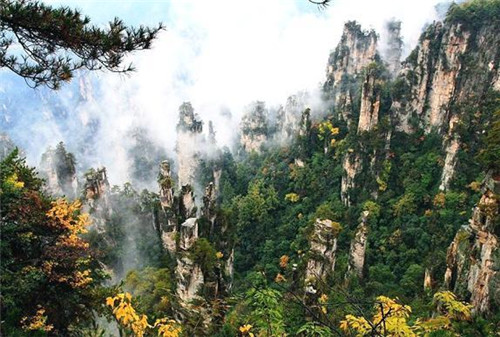 國內最美的森林公園你去過幾個？