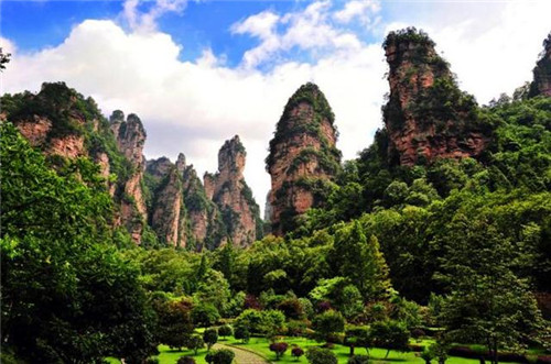 國內最美的森林公園你去過幾個？