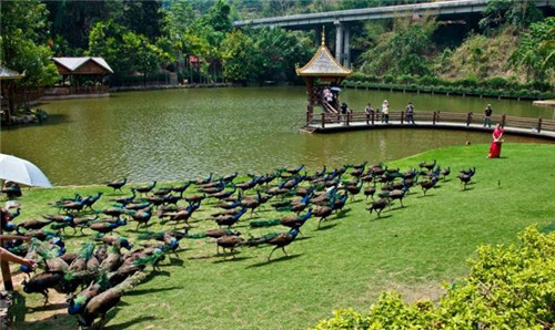 國內最美的森林公園你去過幾個？