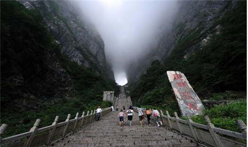 國內最美的森林公園你去過幾個？