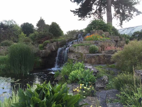 2017英國景觀專業考察交流Day2:徜徉植物世界