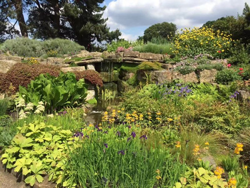 2017英國景觀專業考察交流Day2:徜徉植物世界