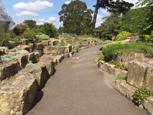 2017英國景觀專業考察交流Day2:徜徉植物世界