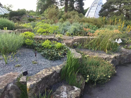 2017英國景觀專業考察交流Day2:徜徉植物世界