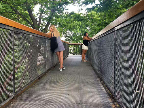 2017英國景觀專業考察交流Day2:徜徉植物世界