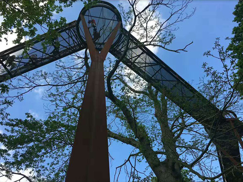 2017英國景觀專業考察交流Day2:徜徉植物世界