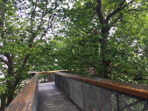 2017英國景觀專業考察交流Day2:徜徉植物世界