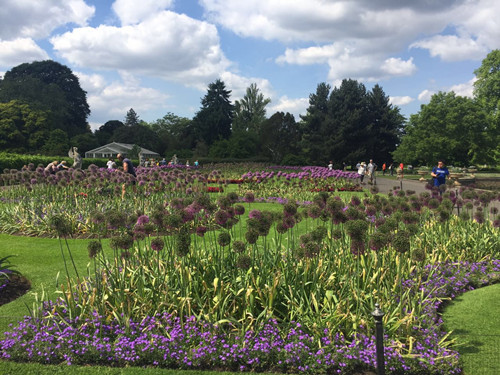2017英國景觀專業(yè)考察交流Day2:徜徉植物世界