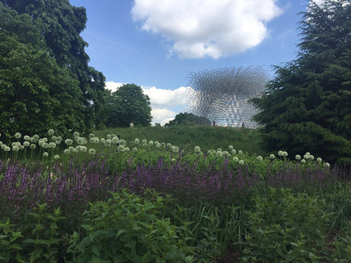 2017英國景觀專業(yè)考察交流Day2:徜徉植物世界