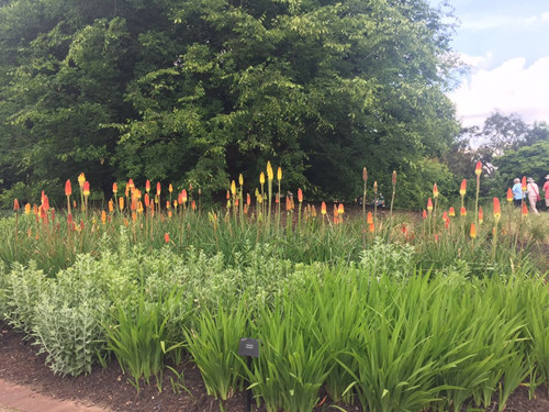 2017英國景觀專業(yè)考察交流Day2:徜徉植物世界