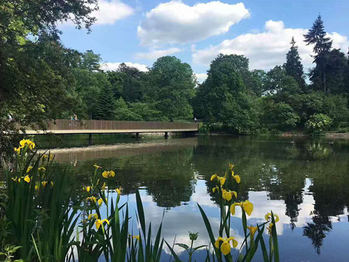 2017英國景觀專業(yè)考察交流Day2:徜徉植物世界