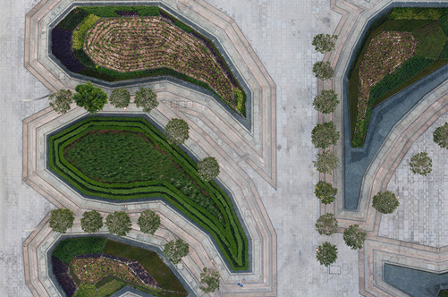 2017英國景觀專業考察Day3:瑪莎施瓦茨事務所交流