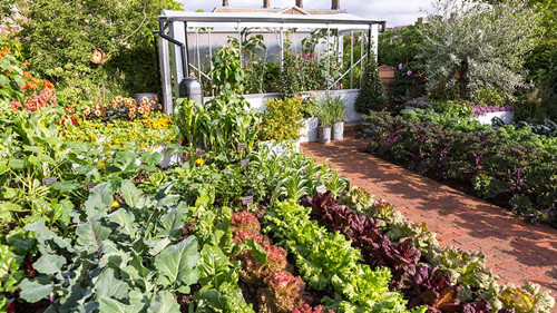 2017英國景觀專業考察Day3:切爾西花展