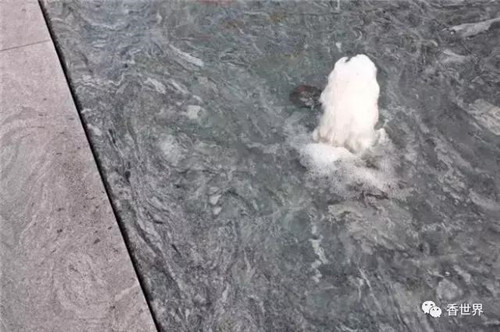 使園林妙趣橫生的園林小品