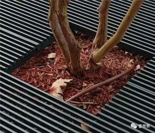 使園林妙趣橫生的園林小品