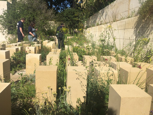 2017英國景觀專業考察Day3：切爾西花展